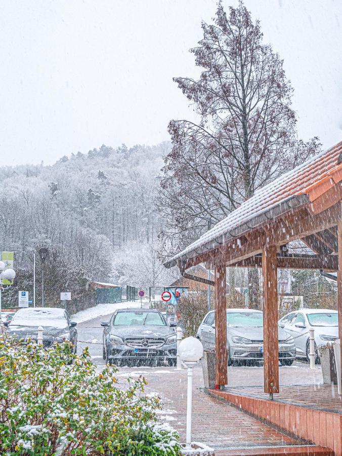 Tdyhomes Hotel Landstuhl Eksteriør billede